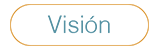 mision vision, objetivos